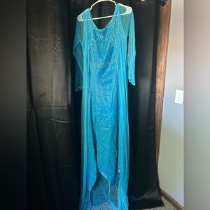 Elsa adult costume